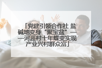 党建引领合作社 盐碱地变身“聚宝盆”——河涯村十年蝶变实现产业兴村群众富