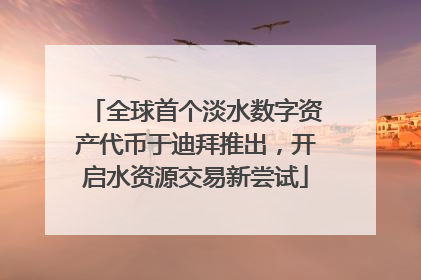 全球首个淡水数字资产代币于迪拜推出，开启水资源交易新尝试