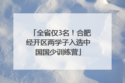 全省仅3名！合肥经开区两学子入选中国国少训练营