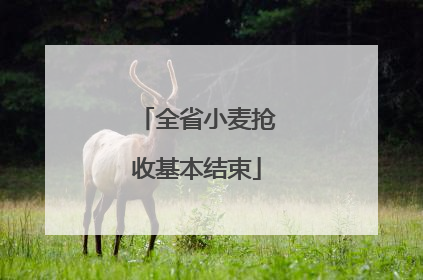 全省小麦抢收基本结束