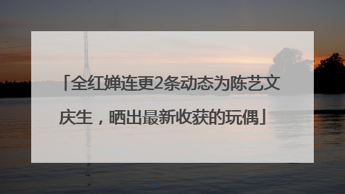 全红婵连更2条动态为陈艺文庆生，晒出最新收获的玩偶