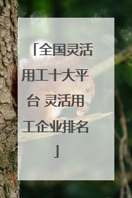 全国灵活用工十大平台 灵活用工企业排名