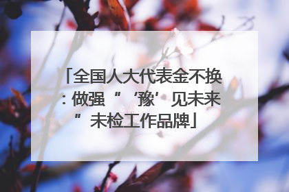 全国人大代表金不换：做强“‘豫’见未来”未检工作品牌