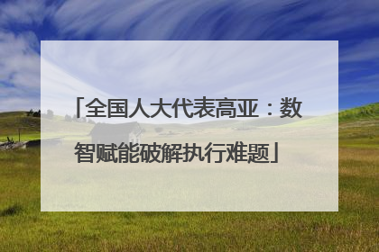 全国人大代表高亚：数智赋能破解执行难题