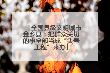 全国县级文明城市金乡县：把群众关切的事全部当成“头号工程”来办