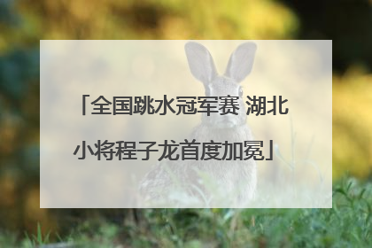 全国跳水冠军赛 湖北小将程子龙首度加冕