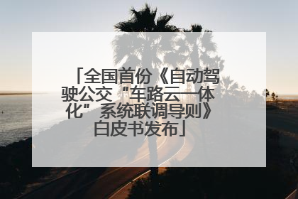 全国首份《自动驾驶公交“车路云一体化”系统联调导则》白皮书发布