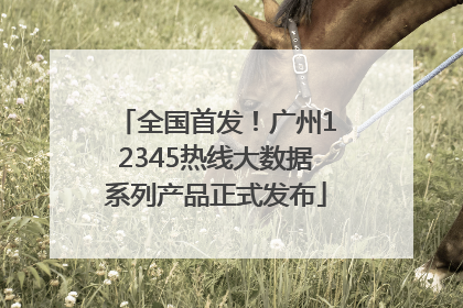全国首发！广州12345热线大数据系列产品正式发布