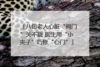 八旬老人心脏“阀门”关不拢 医生用“小夹子”巧修“心门”
