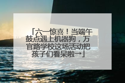 六一惊喜！当端午鼓点遇上机器狗，万官路学校这场活动把孩子们看呆啦→