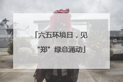 六五环境日，见“郑”绿意涌动