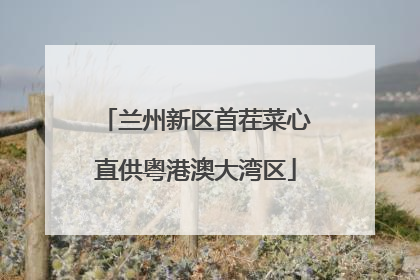 兰州新区首茬菜心直供粤港澳大湾区