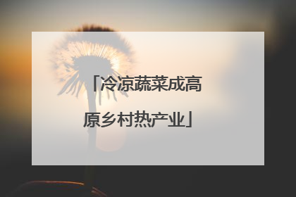 冷凉蔬菜成高原乡村热产业