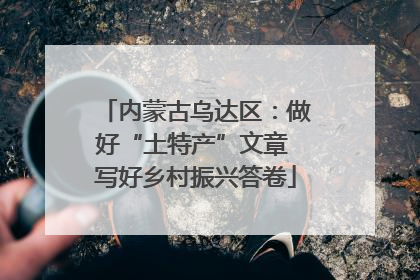 内蒙古乌达区：做好“土特产”文章 写好乡村振兴答卷