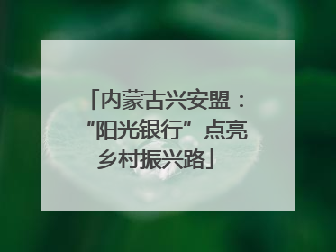内蒙古兴安盟：“阳光银行”点亮乡村振兴路