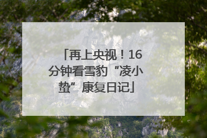 再上央视！16分钟看雪豹“凌小蛰”康复日记