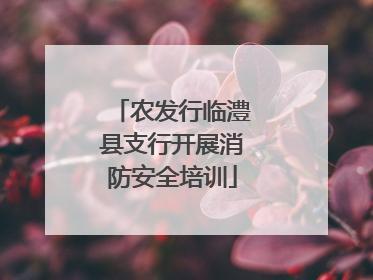 农发行临澧县支行开展消防安全培训