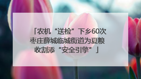 农机“送检”下乡60次 枣庄薛城临城街道为夏粮收割添“安全引擎”