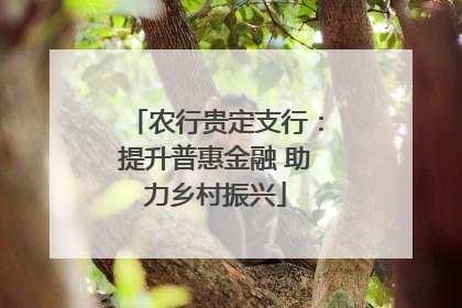 农行贵定支行：提升普惠金融 助力乡村振兴