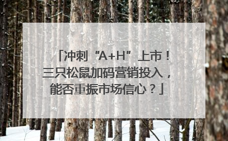 冲刺“A+H”上市！三只松鼠加码营销投入，能否重振市场信心？