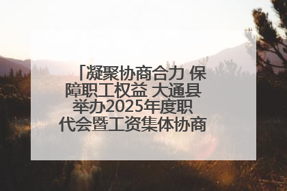 凝聚协商合力 保障职工权益 大通县举办2025年度职代会暨工资集体协商现场观摩交流活动