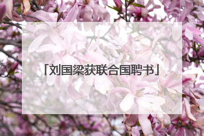 刘国梁获联合国聘书
