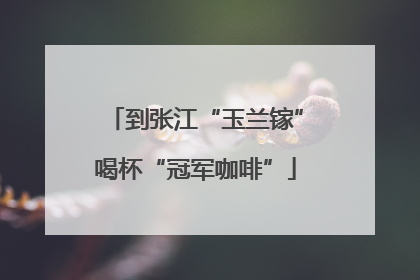 到张江“玉兰镓”喝杯“冠军咖啡”