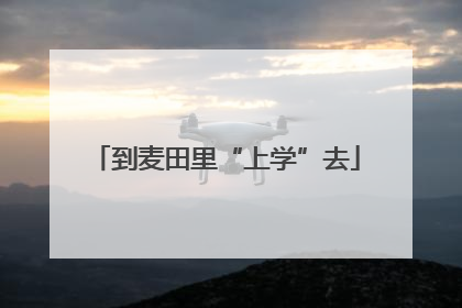 到麦田里“上学”去