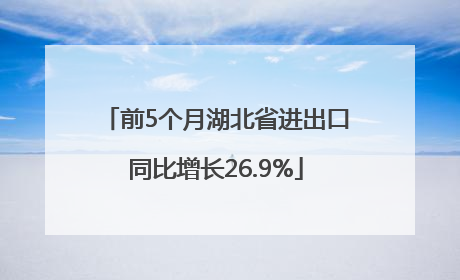 前5个月湖北省进出口同比增长26.9%