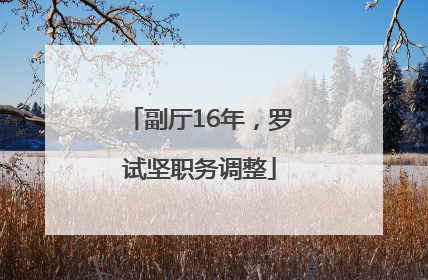 副厅16年，罗试坚职务调整