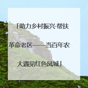 助力乡村振兴·帮扶革命老区——当百年农大遇见红色凤城