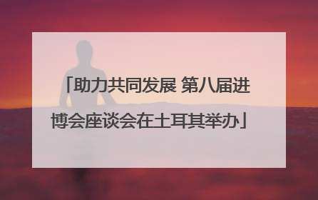 助力共同发展 第八届进博会座谈会在土耳其举办