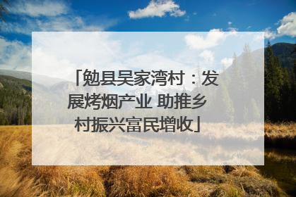 勉县吴家湾村：发展烤烟产业 助推乡村振兴富民增收