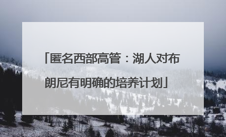匿名西部高管：湖人对布朗尼有明确的培养计划
