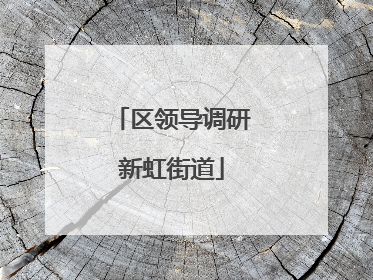 区领导调研新虹街道