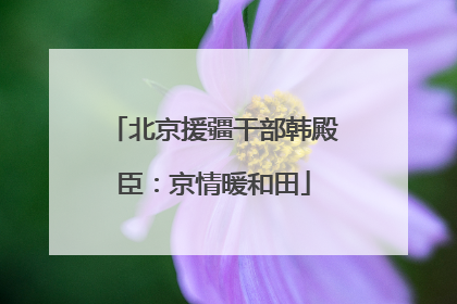 北京援疆干部韩殿臣：京情暖和田