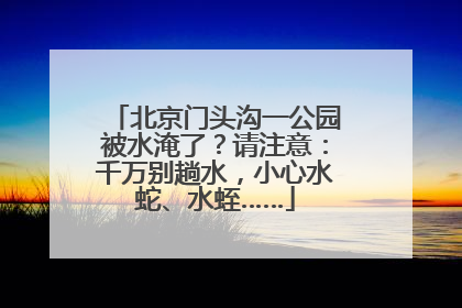 北京门头沟一公园被水淹了?请注意:千万别趟水,小心水蛇、水蛭……