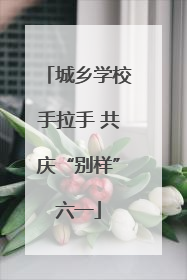 城乡学校手拉手 共庆“别样”六一