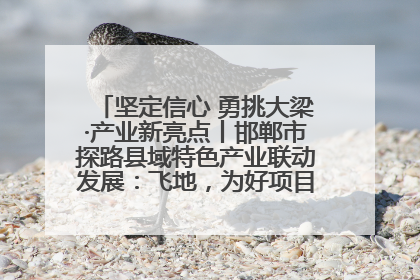 坚定信心 勇挑大梁·产业新亮点丨邯郸市探路县域特色产业联动发展：飞地，为好项目跨域安个家