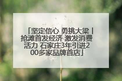 坚定信心 勇挑大梁丨抢滩首发经济 激发消费活力 石家庄3年引进200多家品牌首店