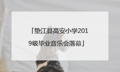 垫江县高安小学2019级毕业音乐会落幕
