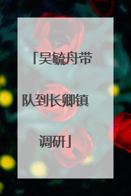 吴毓舟带队到长卿镇调研