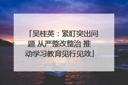 吴桂英：紧盯突出问题 从严整改整治 推动学习教育见行见效