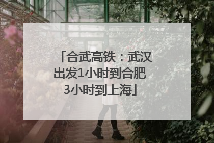 合武高铁：武汉出发1小时到合肥3小时到上海