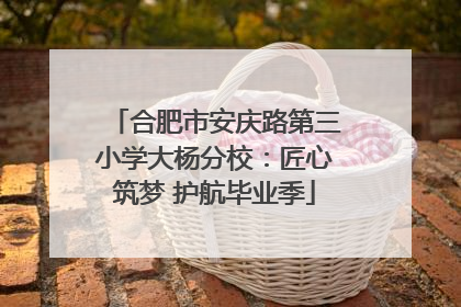 合肥市安庆路第三小学大杨分校：匠心筑梦 护航毕业季