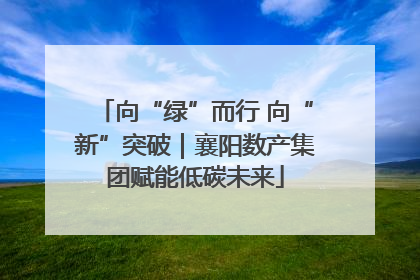 向“绿”而行 向“新”突破｜襄阳数产集团赋能低碳未来