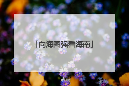 向海图强看海南