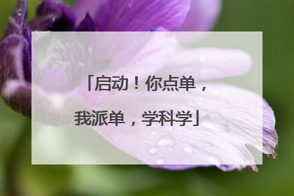 启动！你点单，我派单，学科学