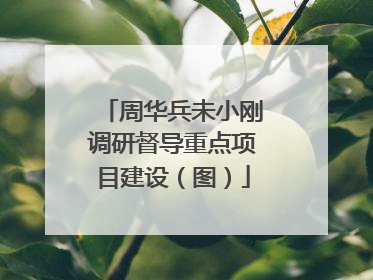 周华兵未小刚调研督导重点项目建设（图）