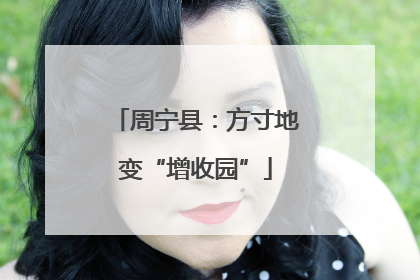 周宁县：方寸地变“增收园”